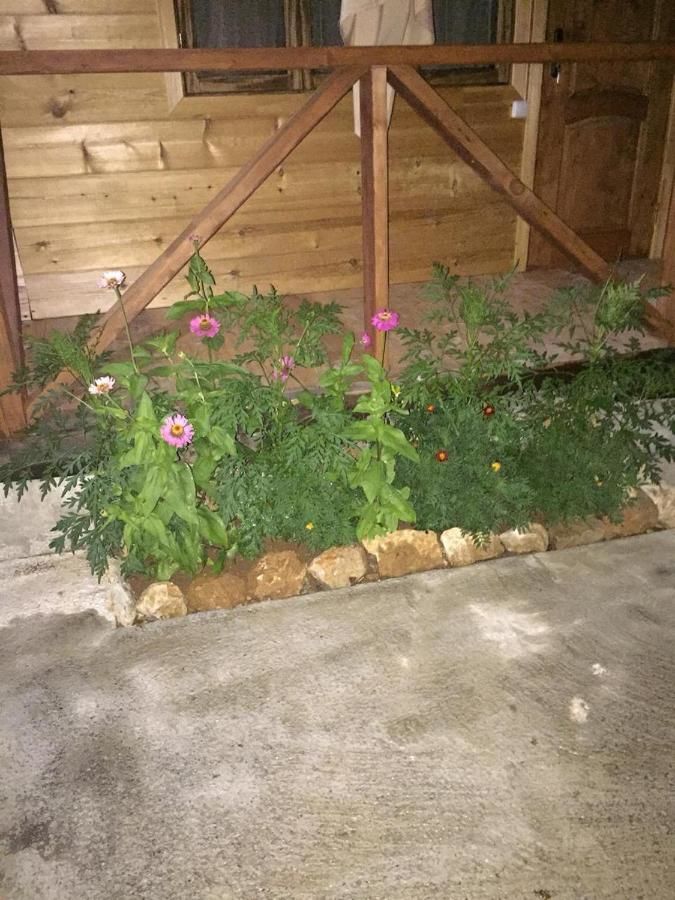 Дома для отпуска Коттеджи у Заура Гагра
