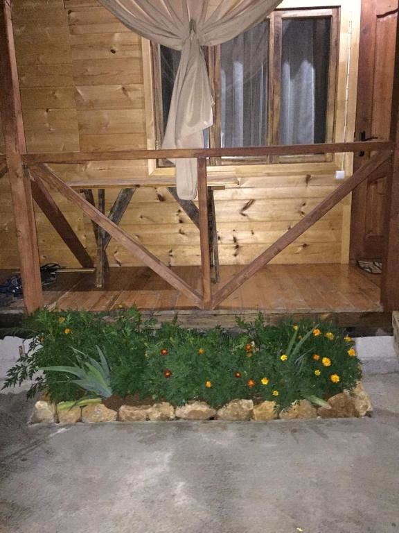 Дома для отпуска Коттеджи у Заура Гагра